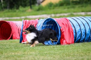 åpen dag med tunnelcup