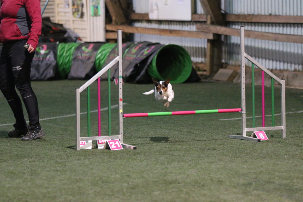 agility